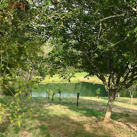 Feriehus Les Mareillauds - Piscine