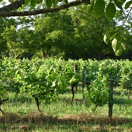 Les Mareillauds - Piscine Feriehus Salon