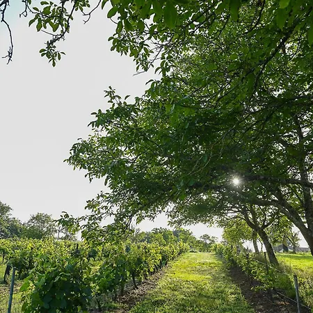 Feriehus Les Mareillauds - Piscine Salon