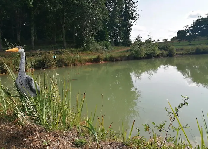 Les Mareillauds - Piscine