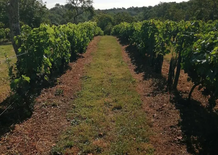 Les Mareillauds - Piscine *