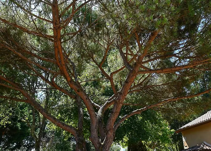 Les Mareillauds - Piscine * Salon