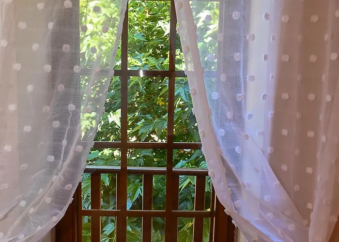 Les Mareillauds - Piscine Feriehus