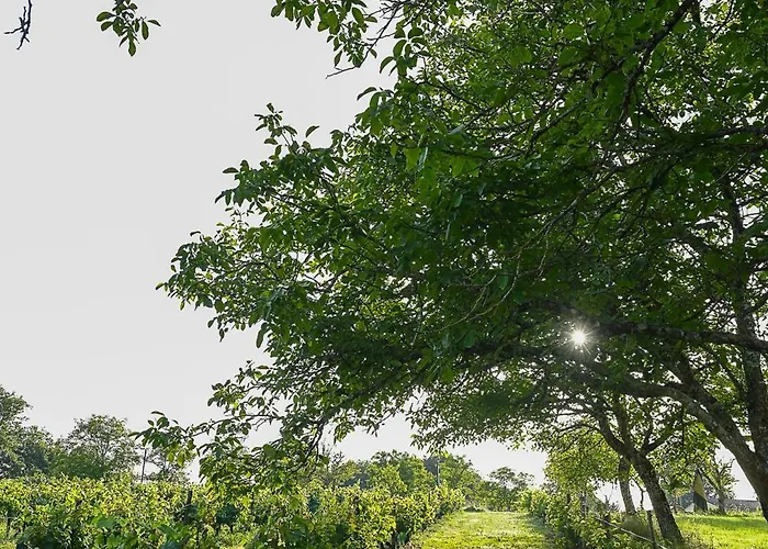 Feriehus Les Mareillauds - Piscine Salon