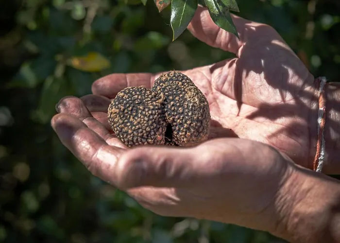 Les Mareillauds - Piscine Salon
